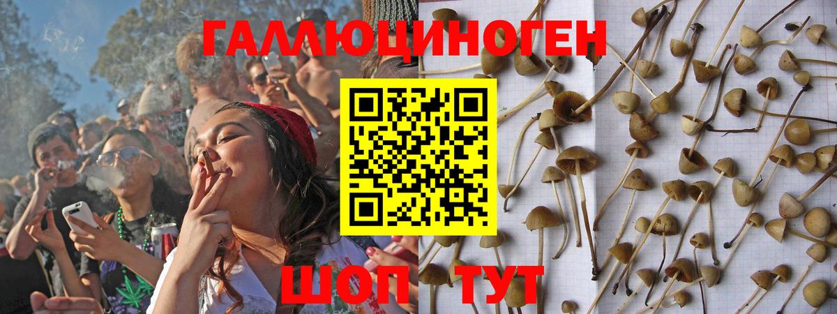 Псилоцибиновые грибы Psilocybine cubensis  Галлюциногенные грибы Magic Shrooms  Вход с VPN  Камышин 